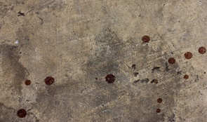 The cement floor, blood stains