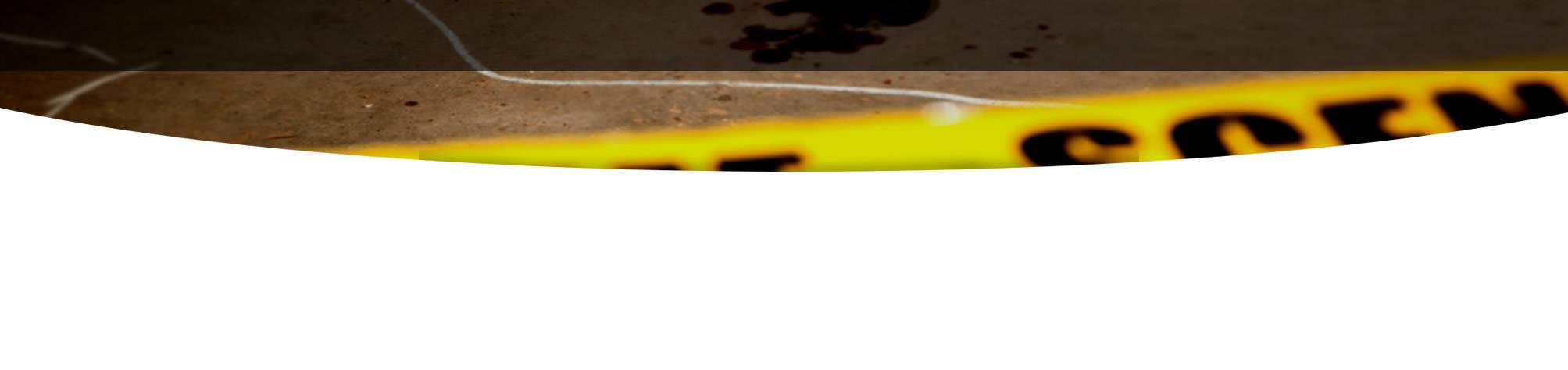 top-banner-image