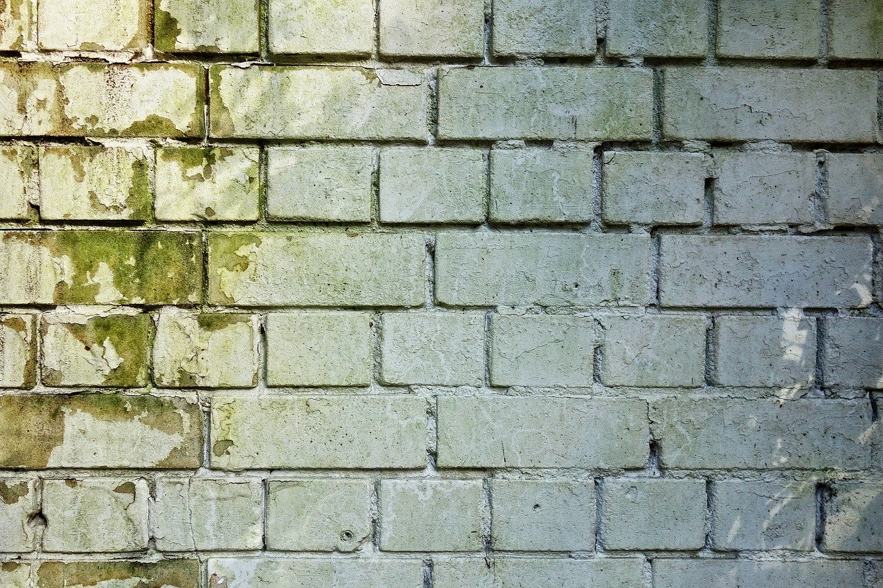brick-wall-3194516_1280 restoration services