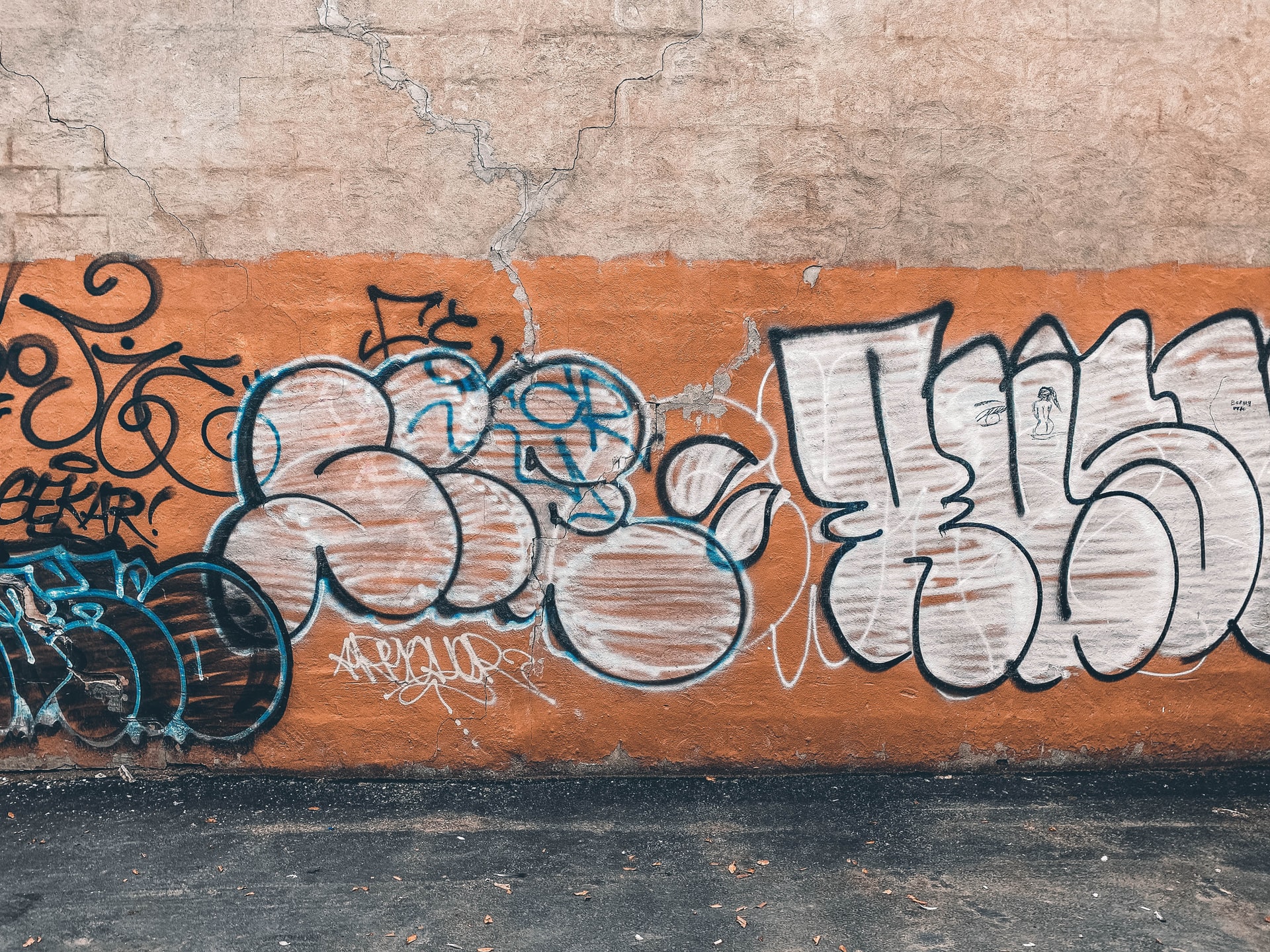 braedon-mcleod-fjQrY8QO75Y-unsplash Graffiti Removal