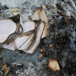 Fire Damage Repair