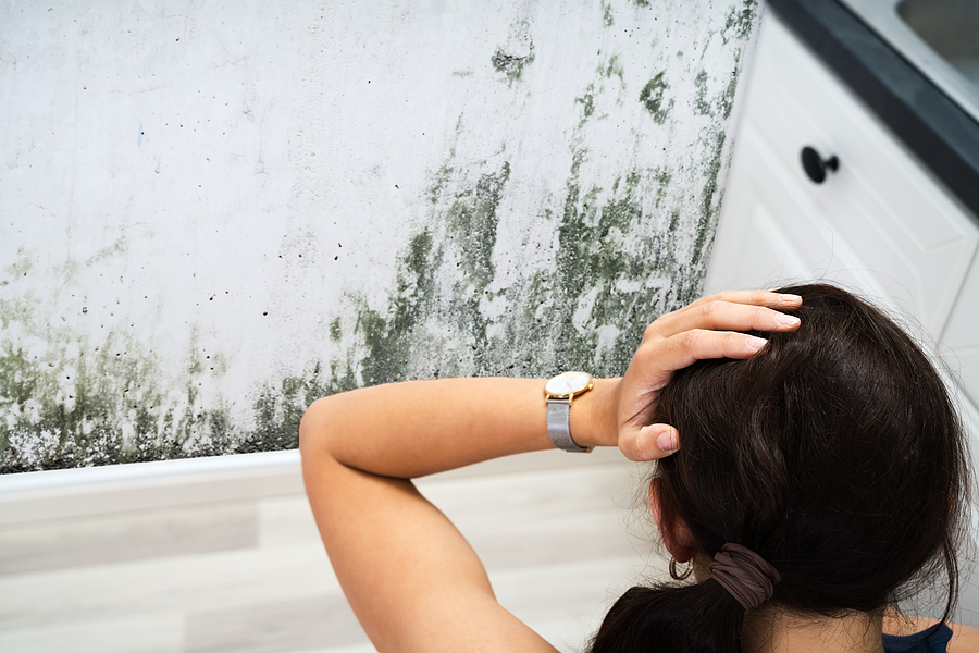 A woman looking at mold growing on a wall