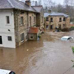 Did Your Basement Recently Flood?