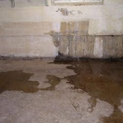 A wet basement.