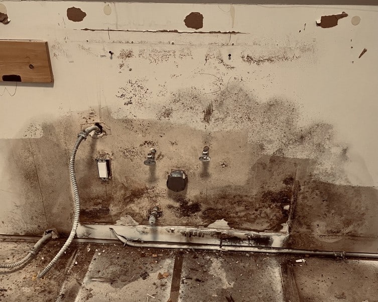How To Tell If Your Home’s Water Damage Is Recent Or From The Past