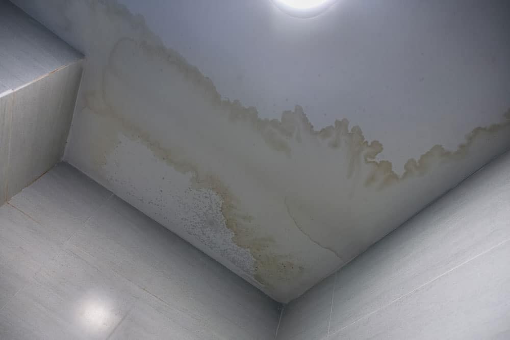 4-Things-To-Look-For-In-A-Water-Damage-Restoration-Company